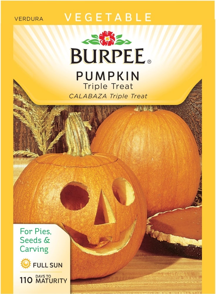 slide 1 of 1, Burpee Triple Treat Pumpkin Seeds, 1 ct