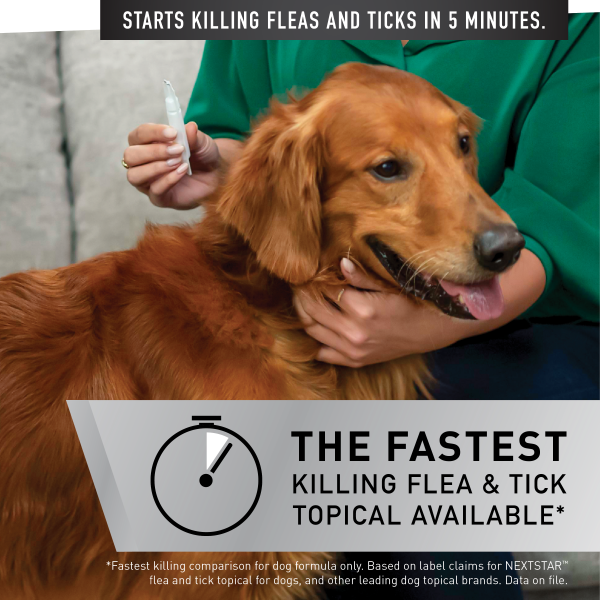 slide 5 of 19, Nextstar F&T SO Dog 45-88LB 3CT, 3 ct