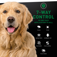 slide 17 of 19, Nextstar F&T SO Dog 45-88LB 3CT, 3 ct