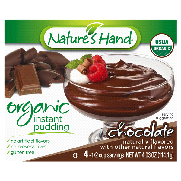 slide 1 of 1, Nature's Hand Organic Chocolate Instant Pudding With Chia, 4.27 oz