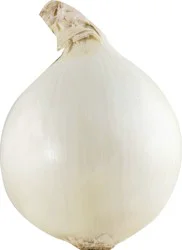 Fresh White Onion