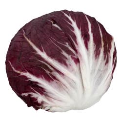 Radicchio Lettuce