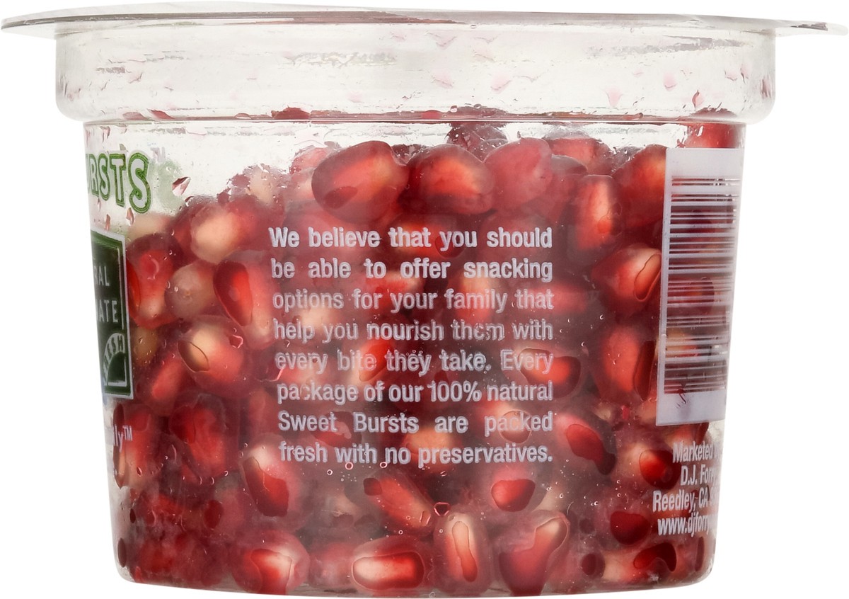 slide 11 of 13, DJ Forry Pom Arils Bowl, 4.4 oz