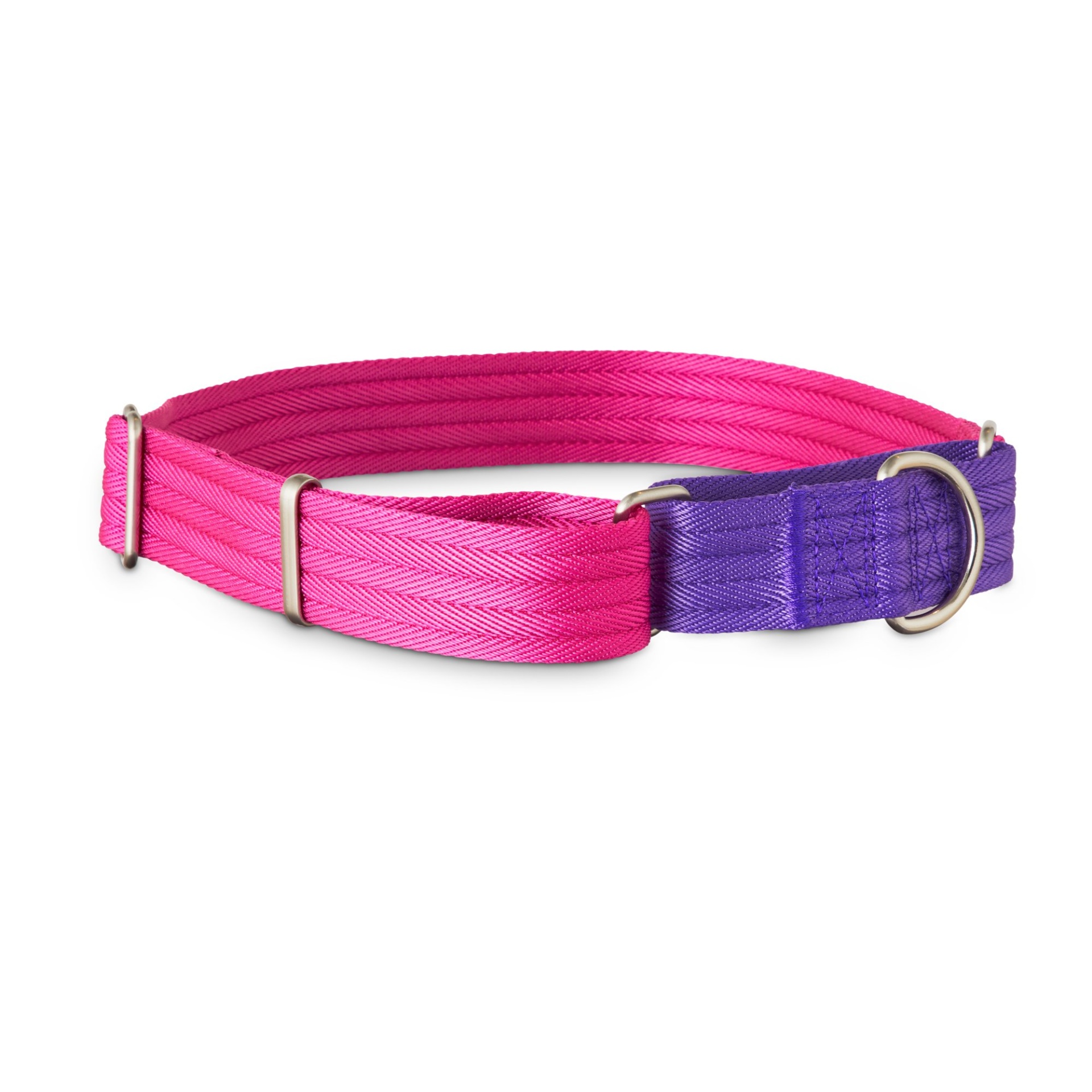 slide 1 of 1, Good2Go Purple and Pink Two Tone Martingale Dog Collar, LG