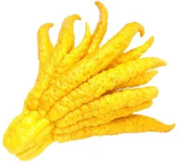 Fresh Buddha's Hand