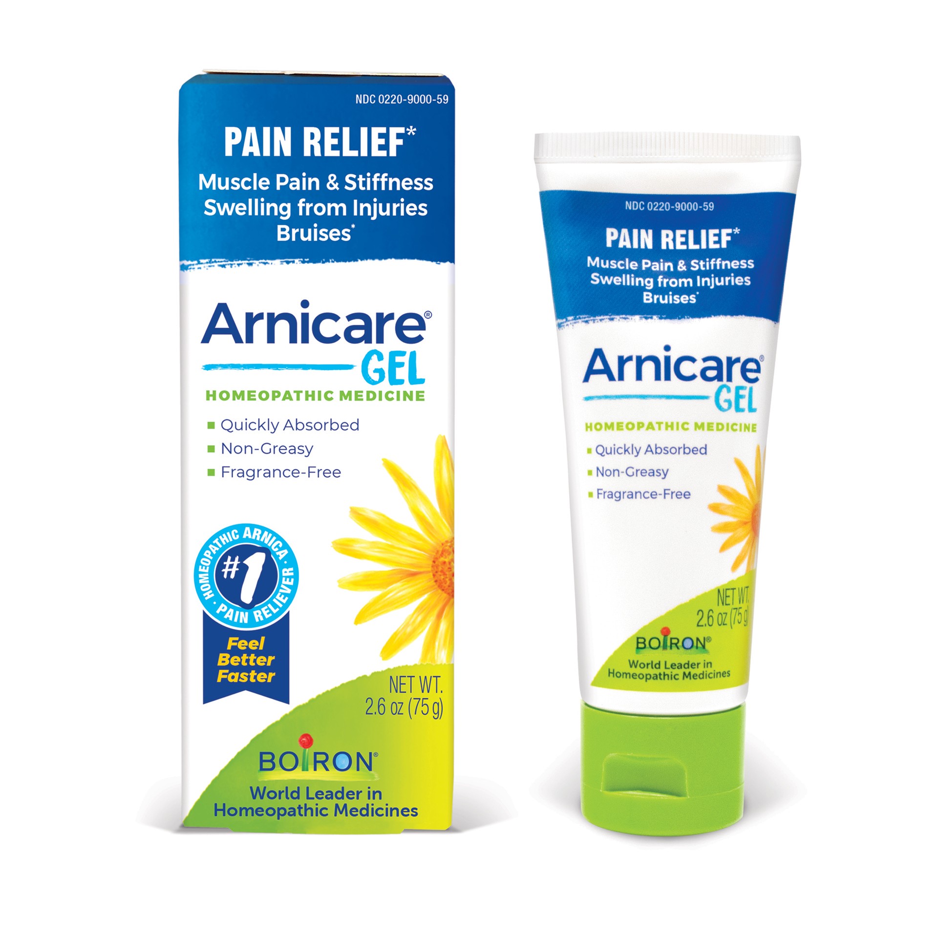 slide 1 of 10, Boiron Arnicare Gel 2.6 oz, 2.5 oz