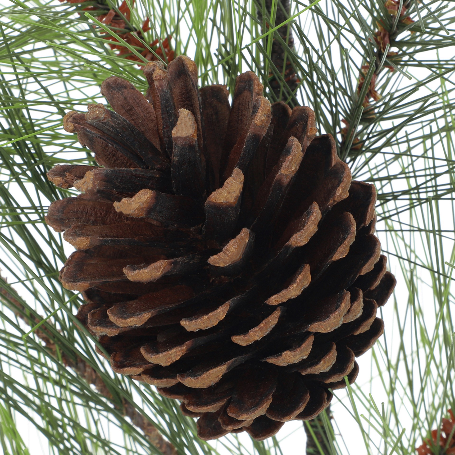 slide 2 of 3, 27" Needle Pine & Pinecone Stem By Ashland, 12 in x 4 in x 27 in