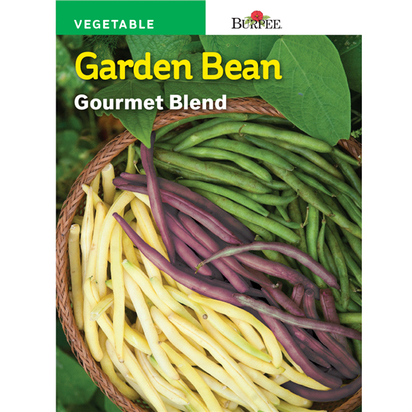 slide 1 of 1, Burpee Garden Bean Gourmet Blend Seeds, 1 ct