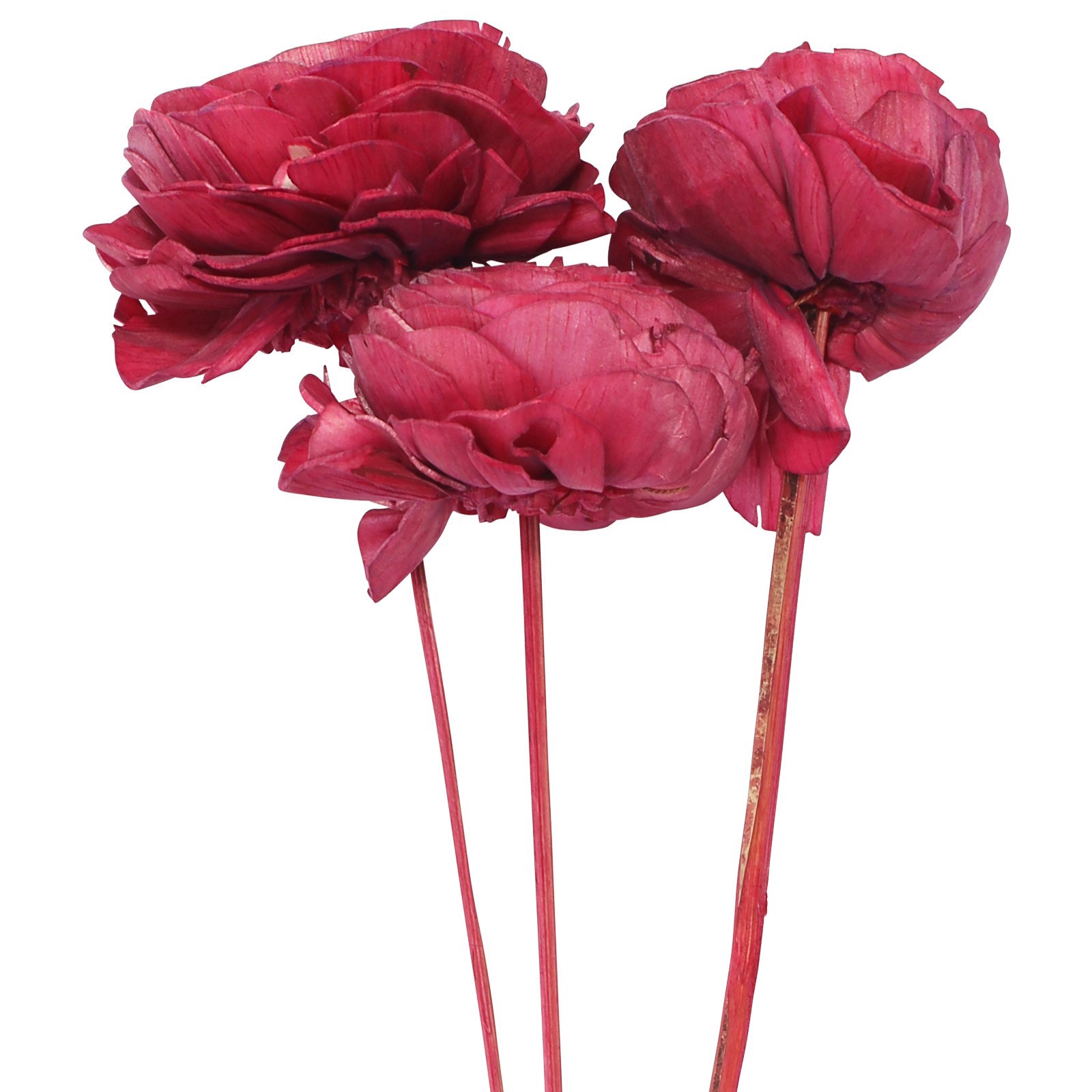 slide 2 of 2, 20" Pink Cabbage Rose Sola Flowers, 3ct. By Ashland, 3 ct