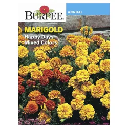 Burpee Marigold Happy Days Mix Seeds