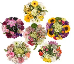Central Market Signature Bouquet, Colors Vary