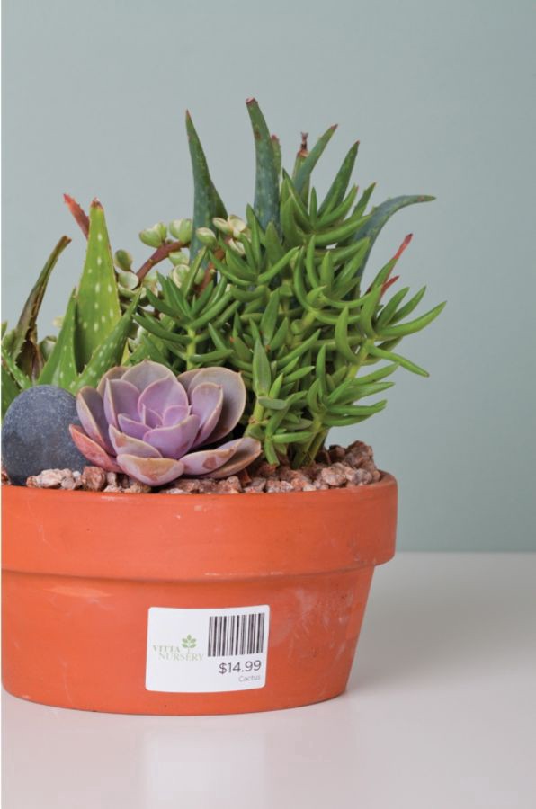 slide 4 of 8, Avery Removable Durable Labels, TrueBlock Technology, 1-1/4 x 1-3/4, Glossy WE, 256 ct