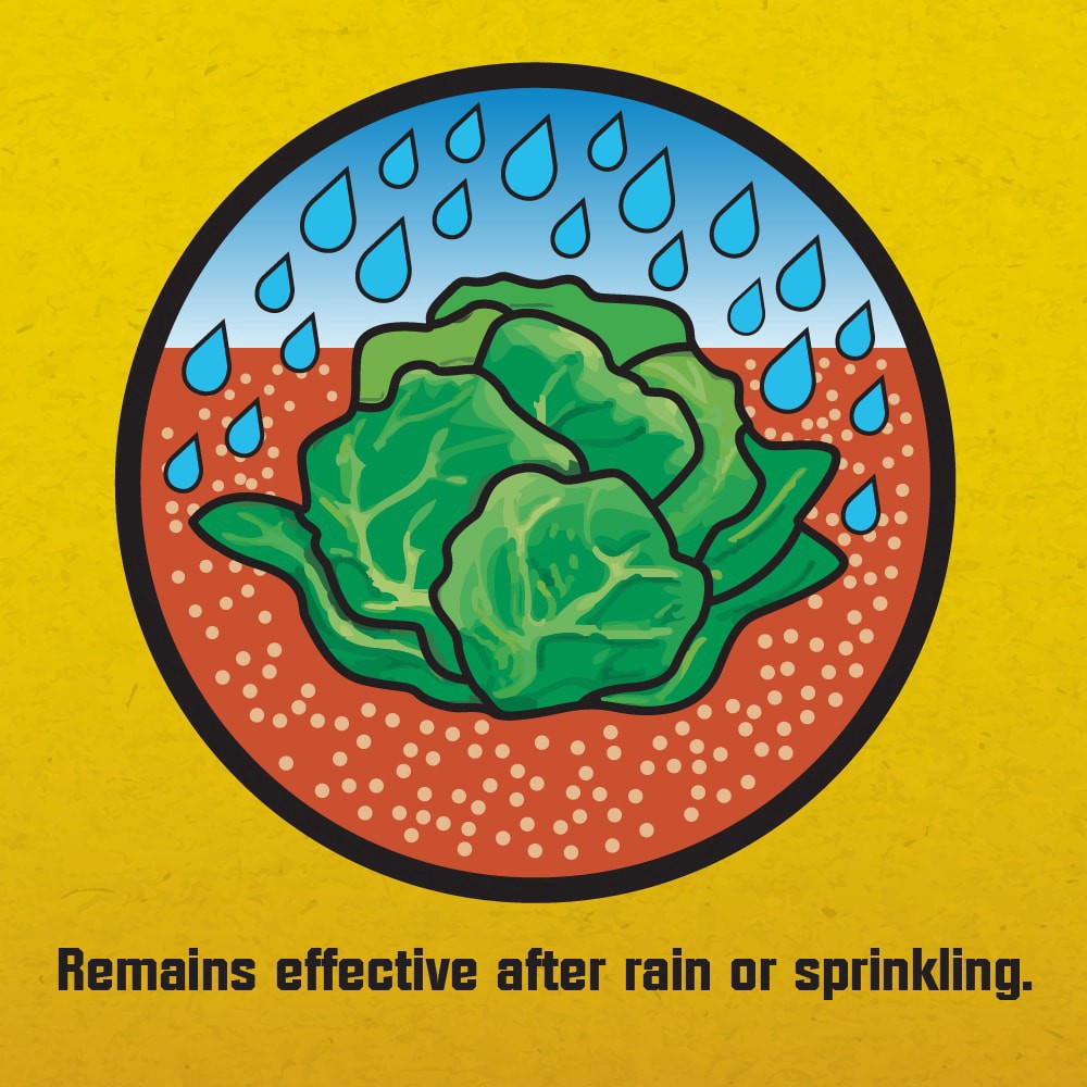 slide 4 of 6, NON BRAND Crys Slug/ Snail Killer, 1.75 lb