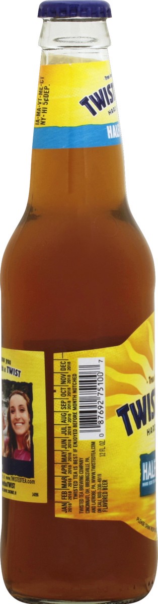 slide 2 of 4, Twisted Tea Brewing Company Half & Half, Hard Iced Tea, 12 fl oz