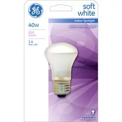 GE Light Bulb 1 ea