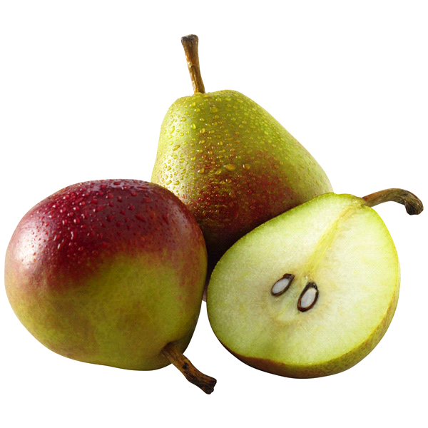 slide 1 of 1, Seckel Pear, 1 ct