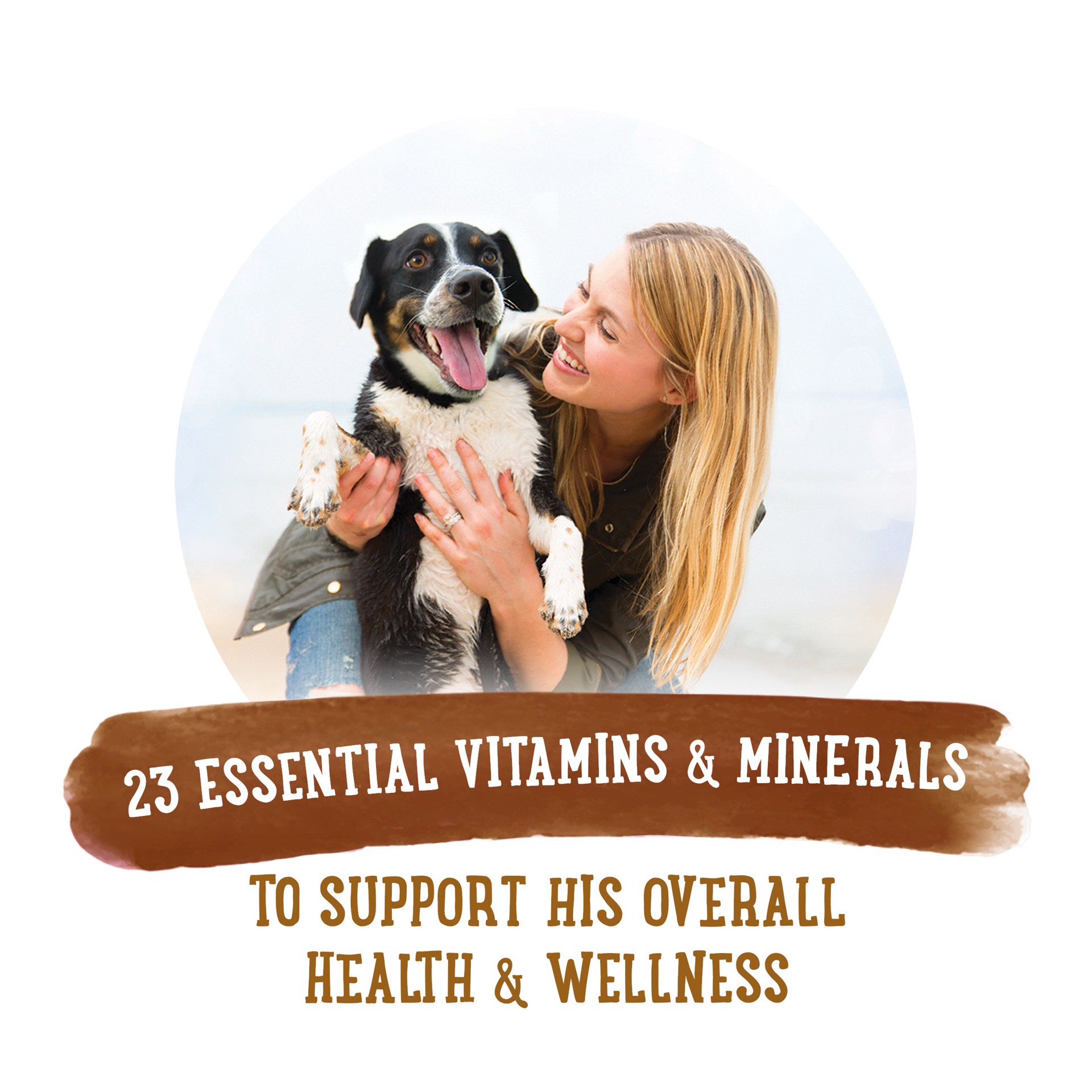 slide 9 of 9, Beneful Purina Beneful High Protein, Wet Dog Food With Gravy, Prepared Meals Roasted Chicken Recipe, 10 oz