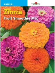 Burpee Zinnia Fruit Smoothie Seeds Mix - Multi-Color