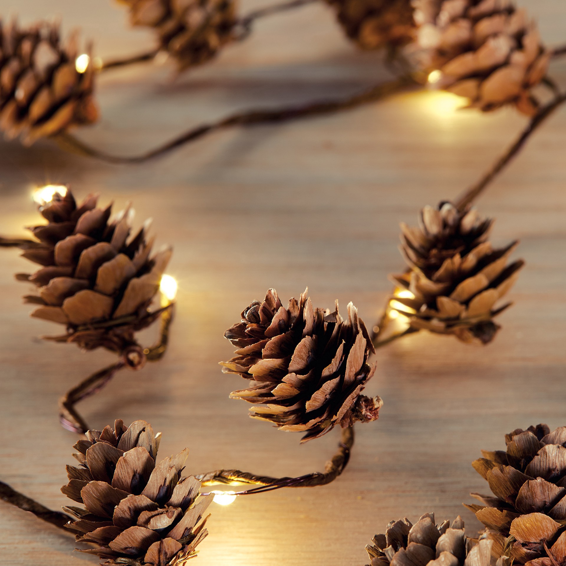 slide 2 of 4, 18ct. Warm White Led Pinecone String Lights By Ashland, 18 ct