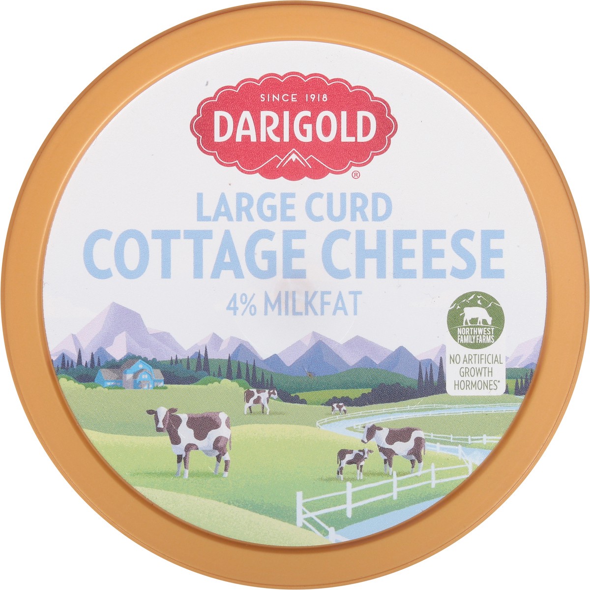 slide 9 of 9, Darigold 4% Milkfat Whole Large Curd Cottage Cheese 16 oz, 16 oz