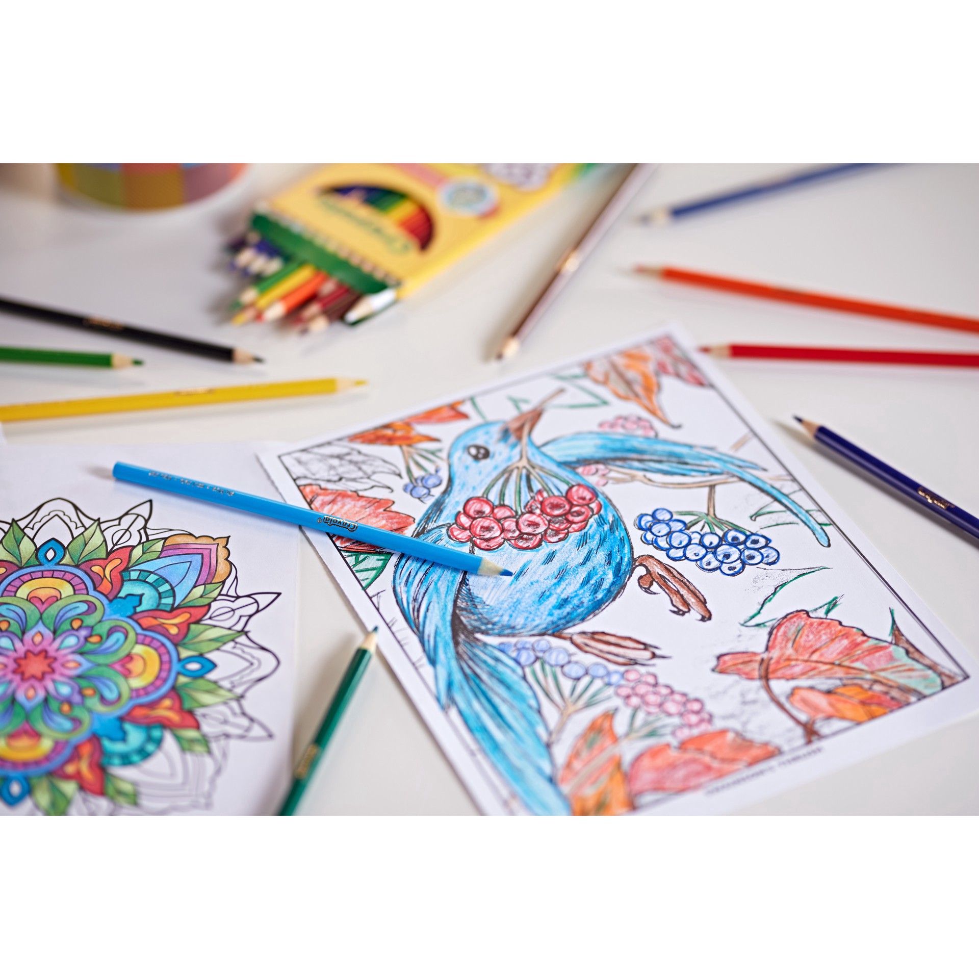 slide 3 of 7, Crayola Colored Pencils, 12ct., 12 ct