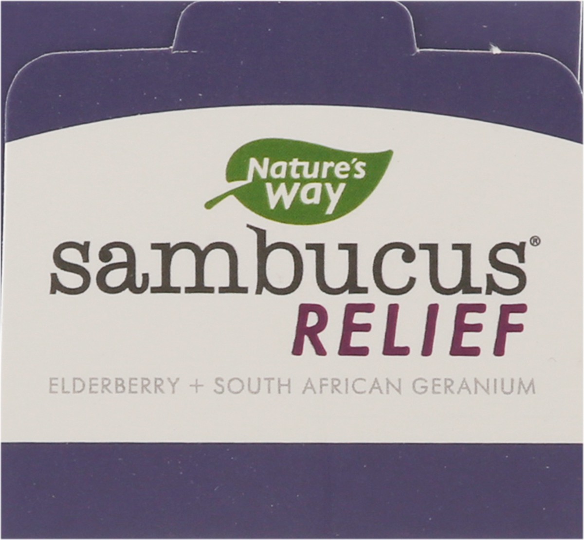 slide 8 of 9, Nature's Way Sambucus Relief Syrup, 4 oz