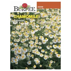 Burpee German Chamomile Seeds