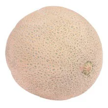 Melon Musk Cantaloupe P/L