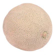 Melon Musk Cantaloupe P/L