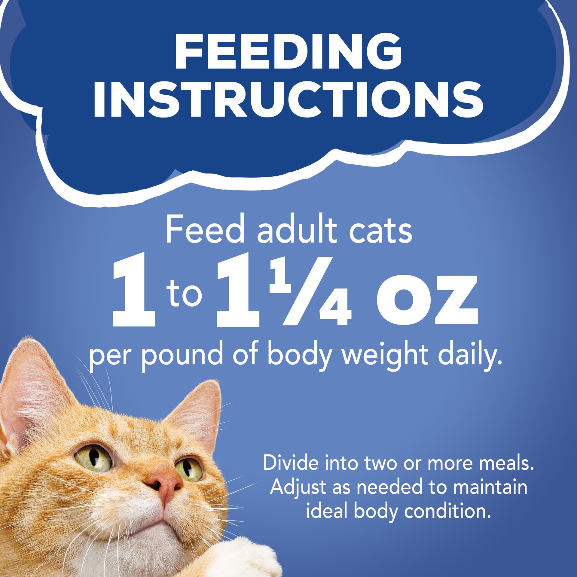 slide 7 of 7, Friskies Purina Friskies Gravy Wet Cat Food Variety Pack, Seafood Prime Filets Favorites, 8.25 lb