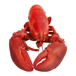 Fresh Select Lobsters
