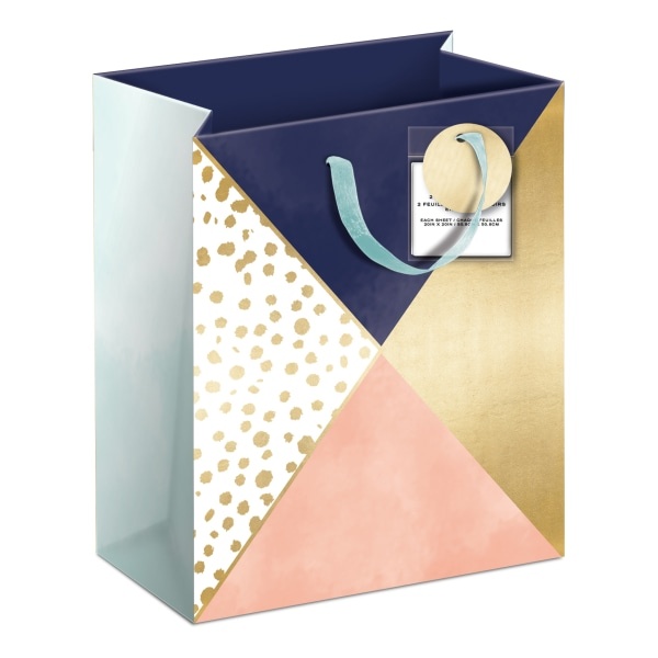 slide 1 of 1, Lady Jayne Gift Bag with Tissue Paper, Hang Tag, Vertical, Navy And Coral Color Block, 1 ct