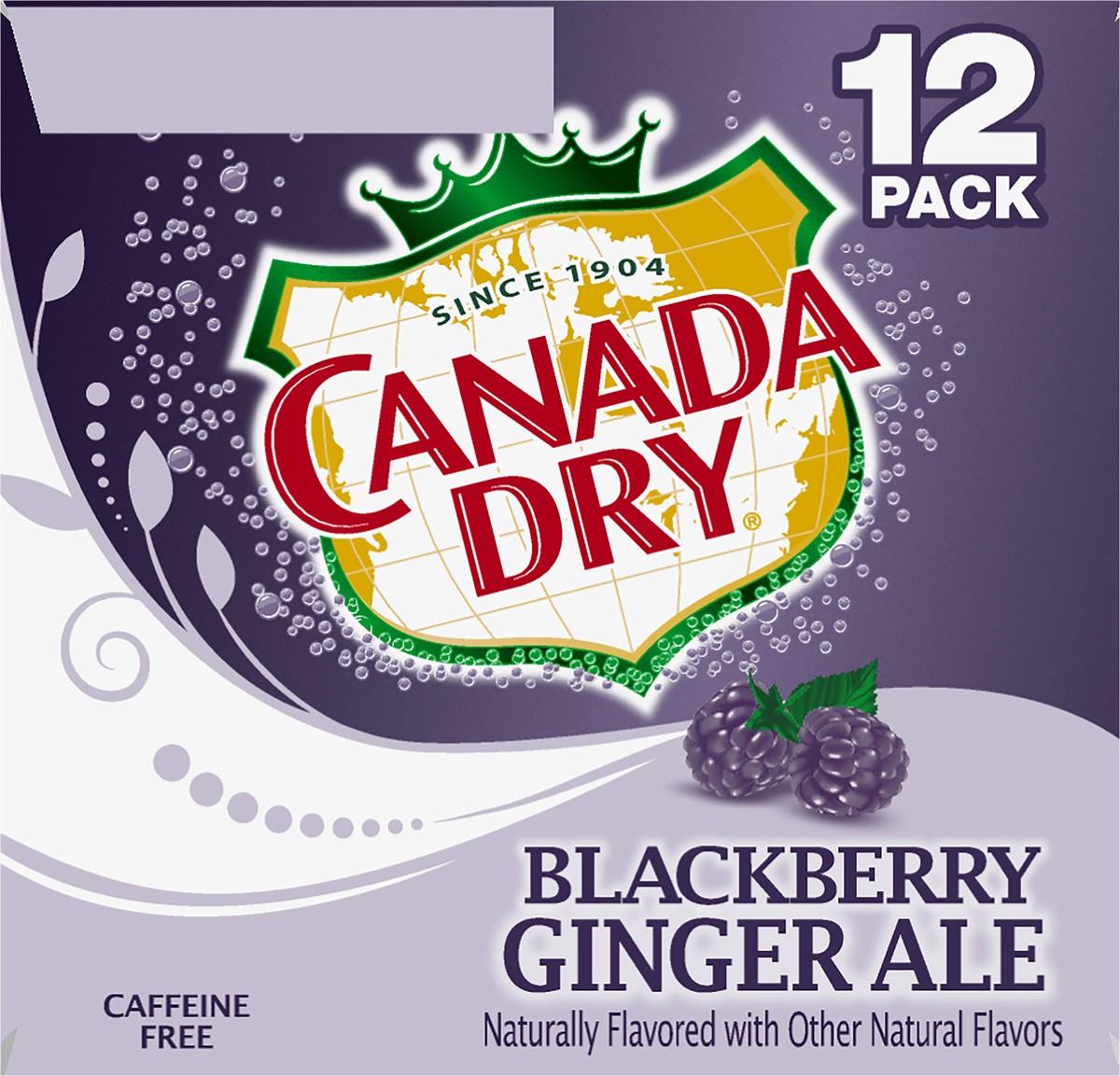 slide 6 of 9, Canada Dry Blackberry Ginger Ale Soda- 12 ct, 12 ct