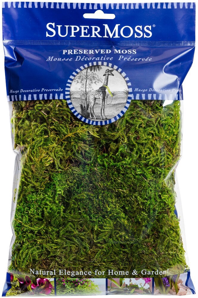 slide 1 of 1, Supermoss Preserved Forest Moss, 2 oz