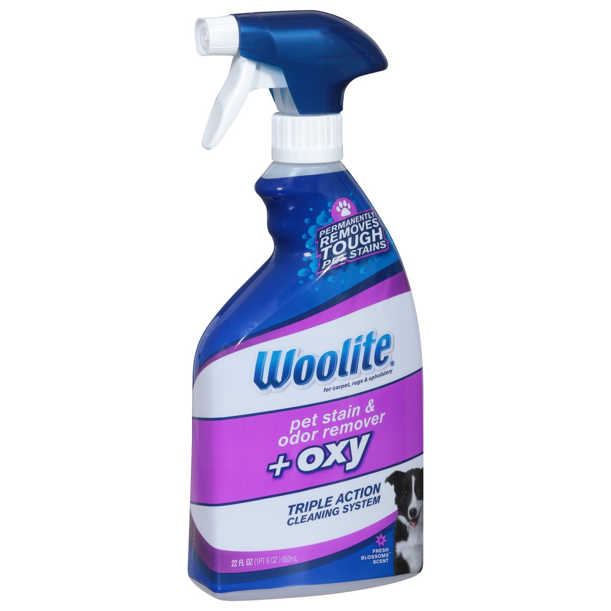 slide 4 of 9, Woolite + Oxy Fresh Blossom Scent Pet Stain & Odor Remover 22 fl oz, 22 fl oz