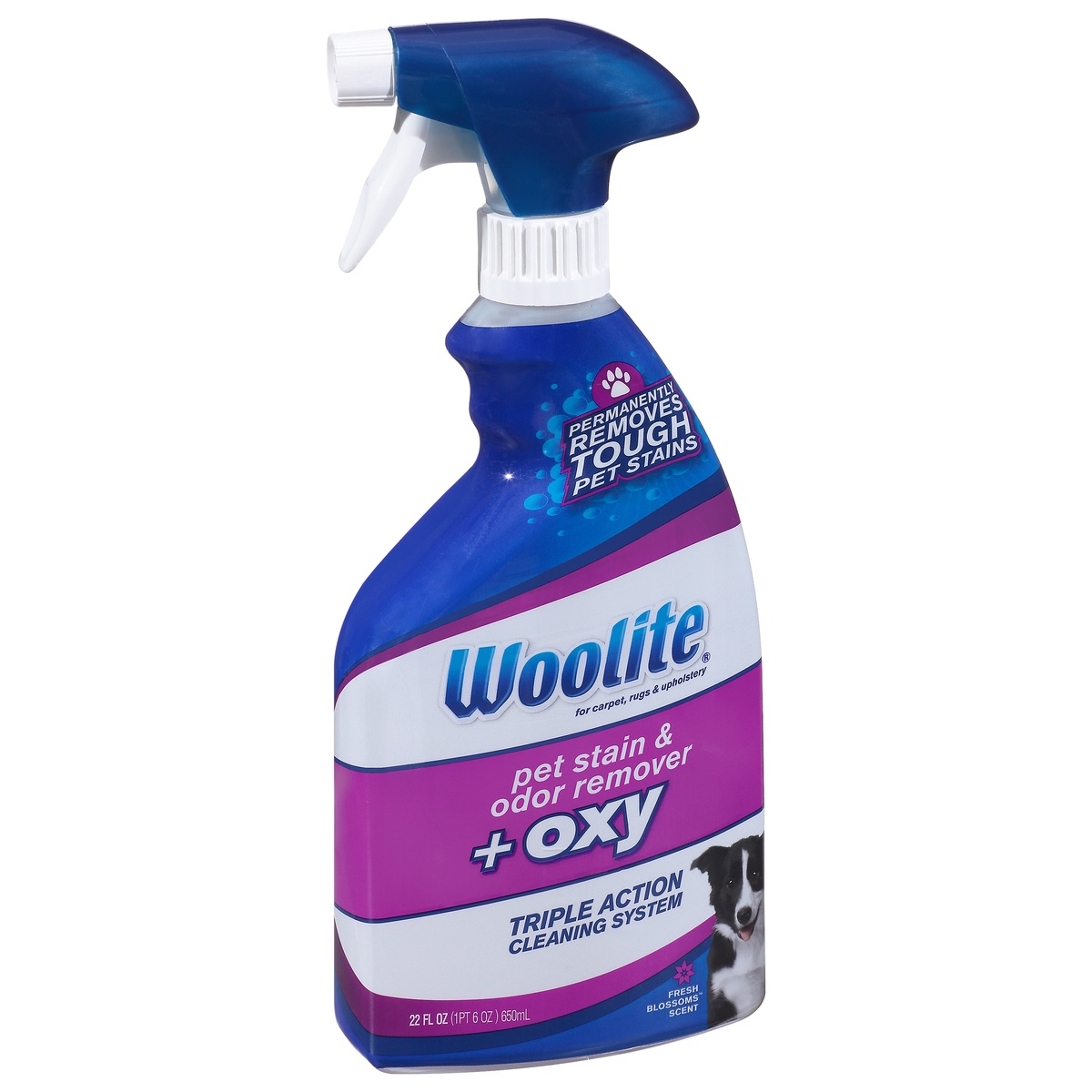 slide 2 of 9, Woolite Carpet Pet Stain & Odor Remover + Oxy, 22 fl oz