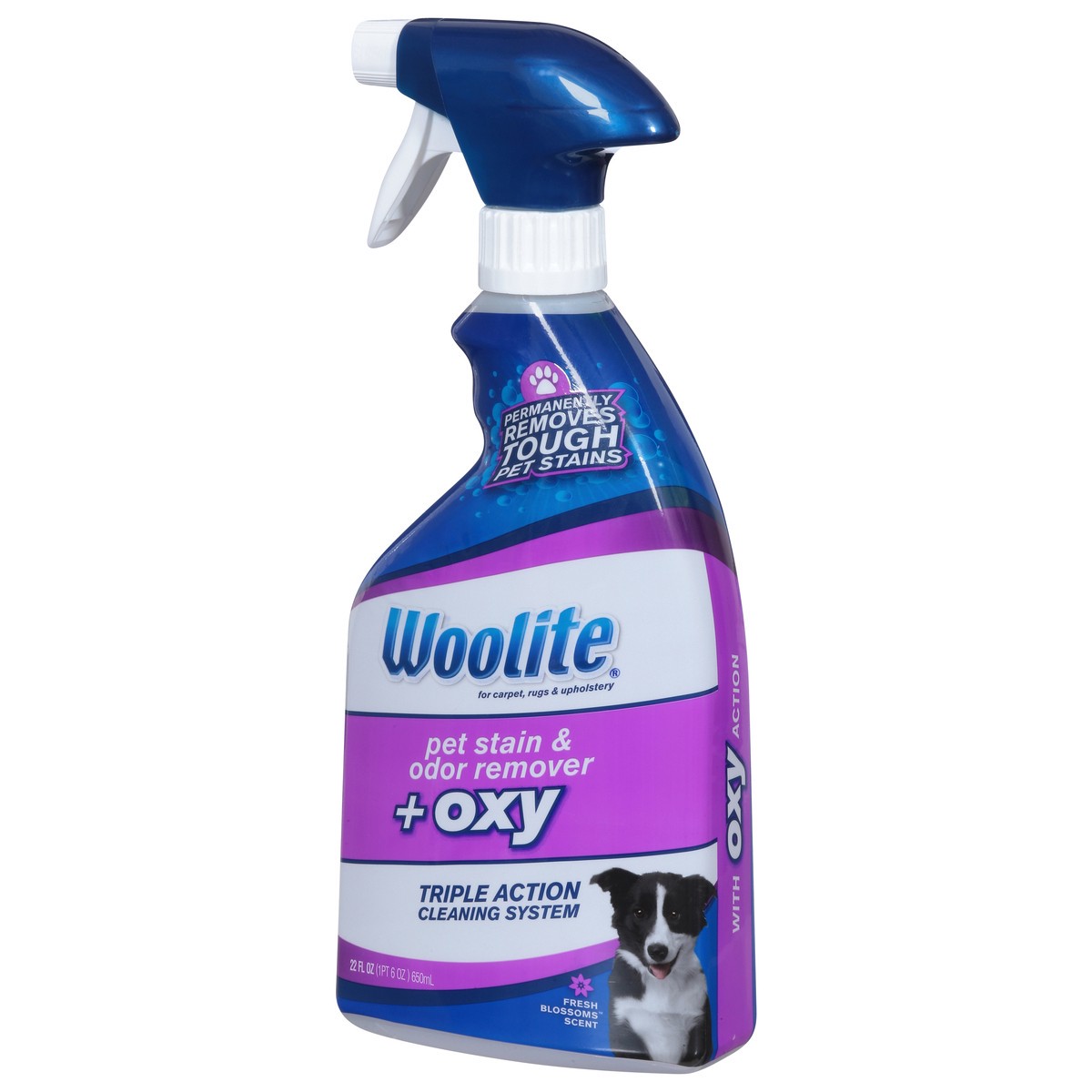slide 7 of 9, Woolite + Oxy Fresh Blossom Scent Pet Stain & Odor Remover 22 fl oz, 22 fl oz