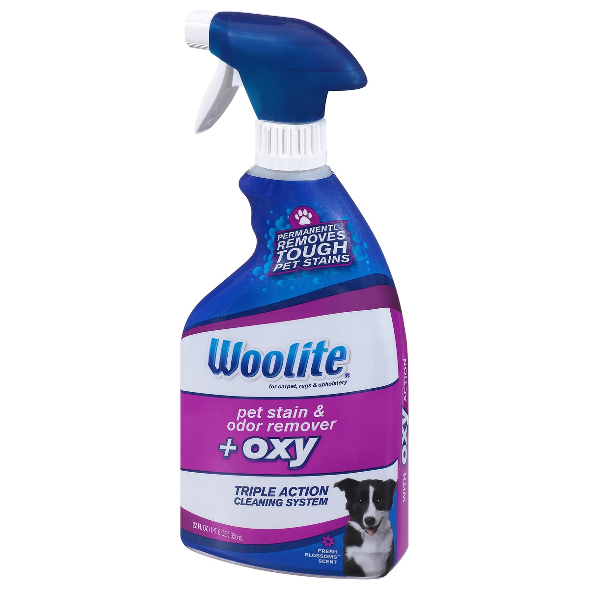 slide 3 of 9, Woolite Carpet Pet Stain & Odor Remover + Oxy, 22 fl oz