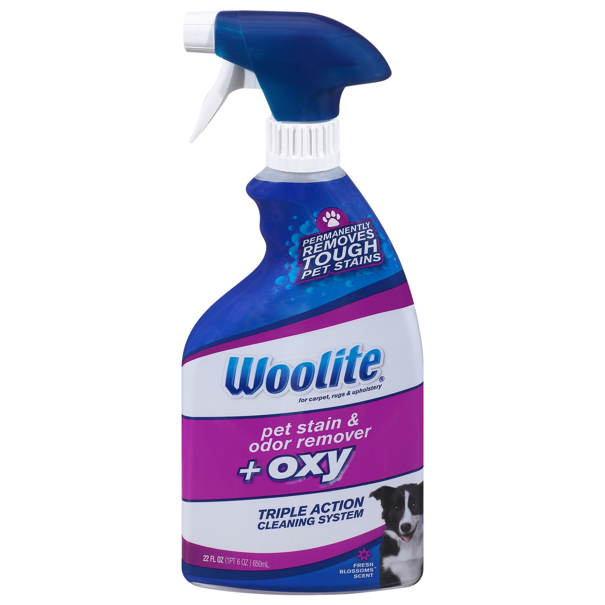 slide 1 of 9, Woolite Carpet Pet Stain & Odor Remover + Oxy, 22 fl oz