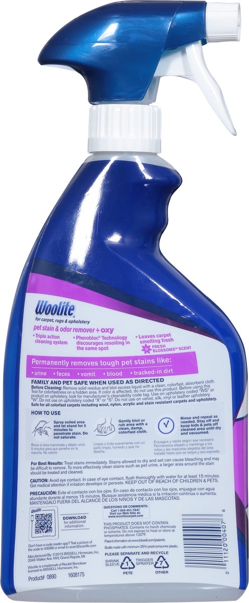 slide 5 of 9, Woolite + Oxy Fresh Blossom Scent Pet Stain & Odor Remover 22 fl oz, 22 fl oz
