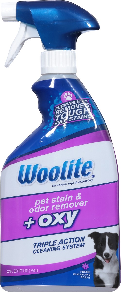slide 8 of 9, Woolite + Oxy Fresh Blossom Scent Pet Stain & Odor Remover 22 fl oz, 22 fl oz