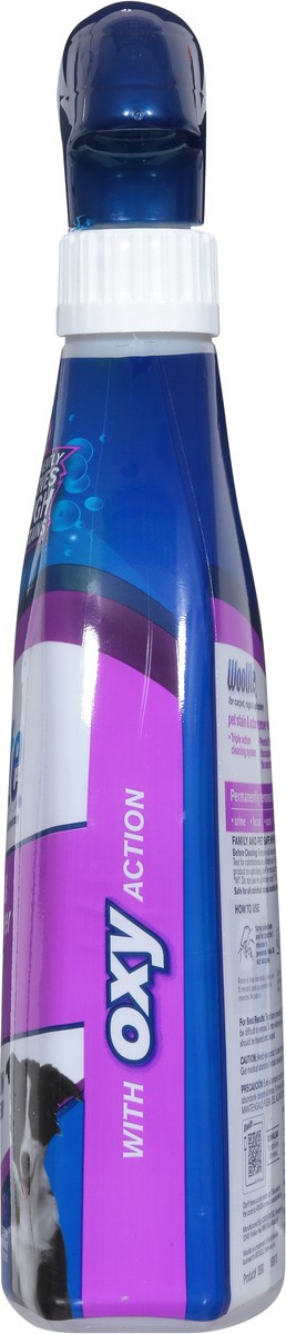 slide 2 of 9, Woolite + Oxy Fresh Blossom Scent Pet Stain & Odor Remover 22 fl oz, 22 fl oz