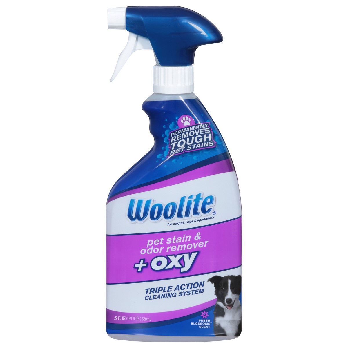 slide 1 of 9, Woolite + Oxy Fresh Blossom Scent Pet Stain & Odor Remover 22 fl oz, 22 fl oz