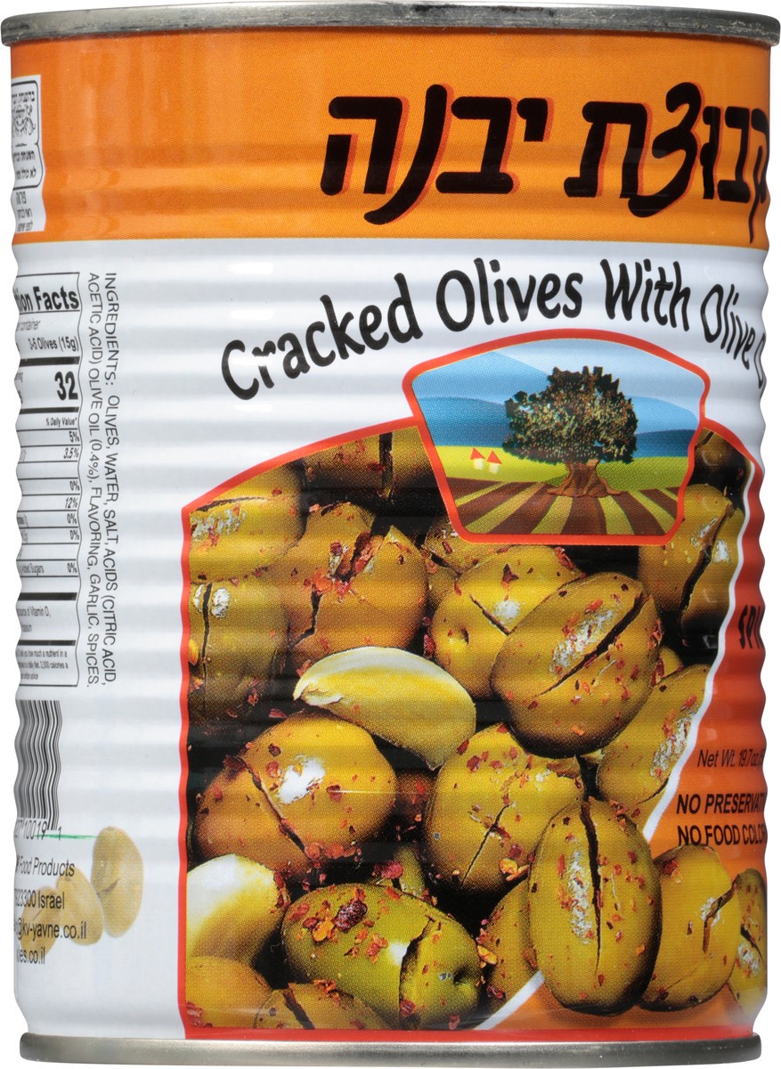 slide 3 of 9, Kzuzat Yavne Cracked Olives, Spicy, 19 oz