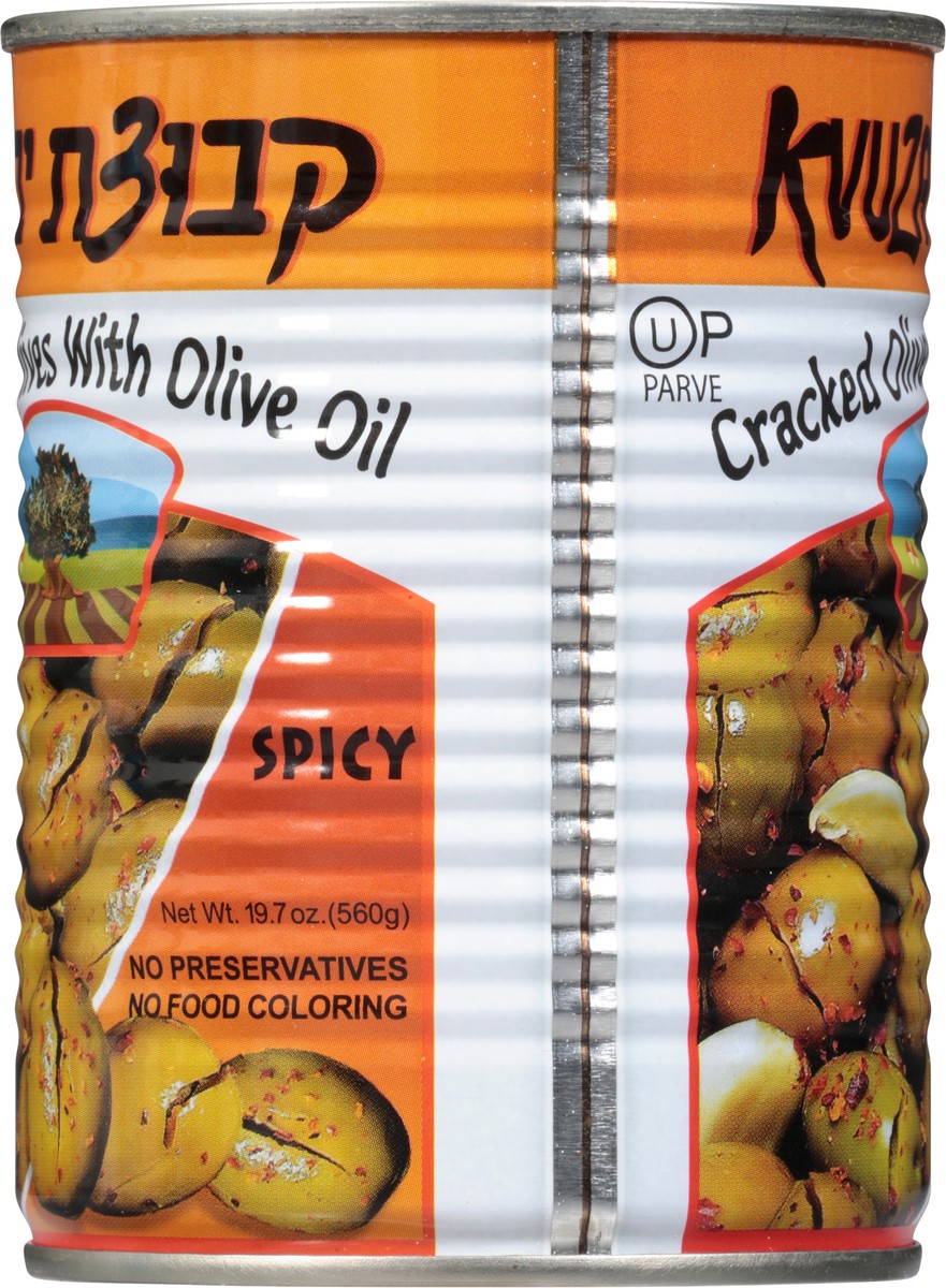 slide 6 of 9, Kzuzat Yavne Cracked Olives, Spicy, 19 oz