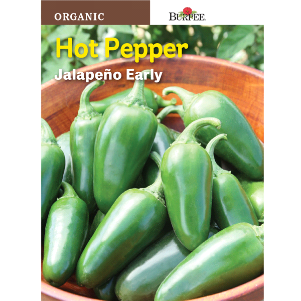 slide 1 of 1, Burpee Hot Pepper Jalapeno Early Seeds, 1 ct