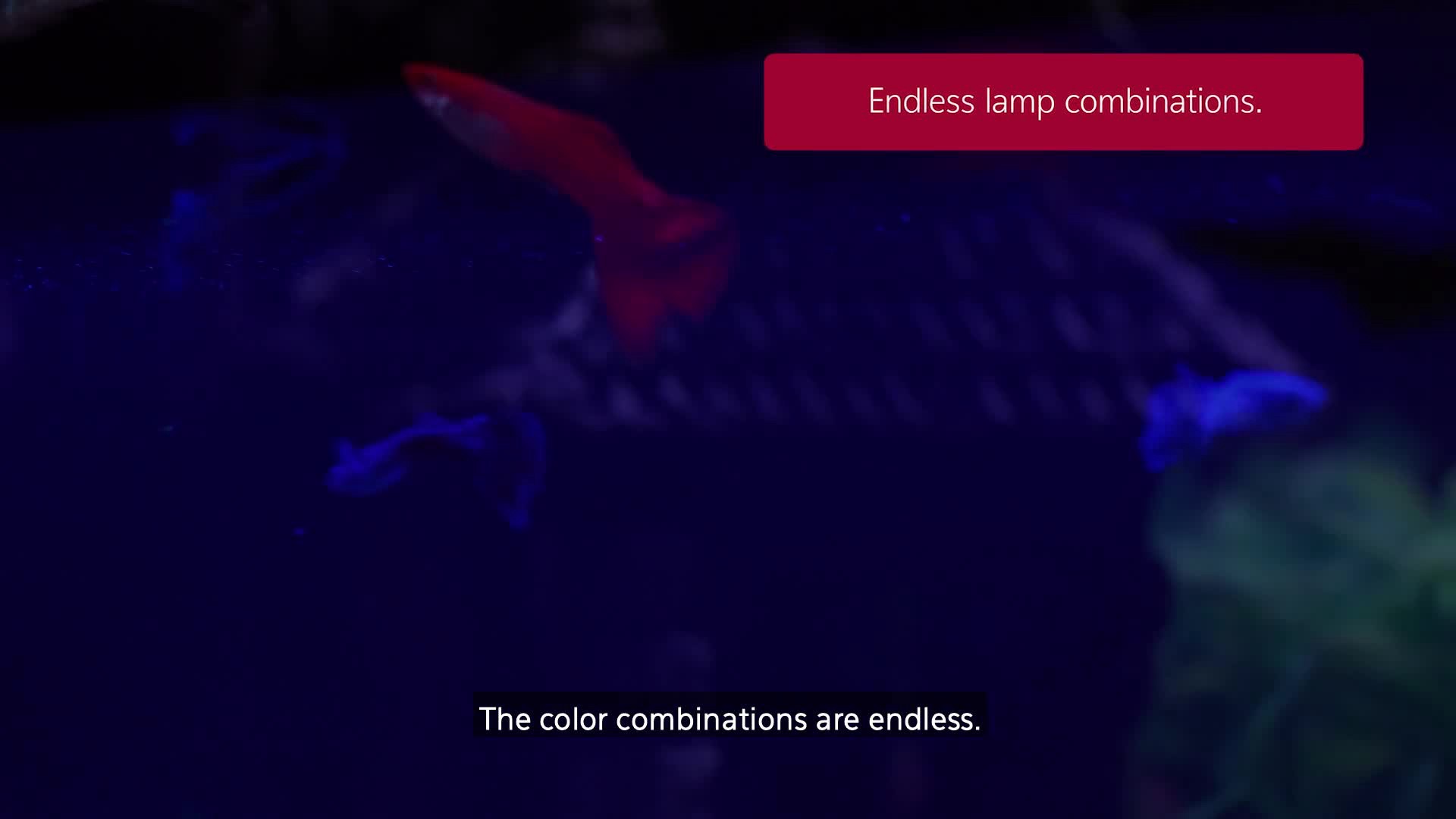 slide 2 of 3, Aqueon Beauty Max LED Aquarium Light Bulb, 30 in, 30 in