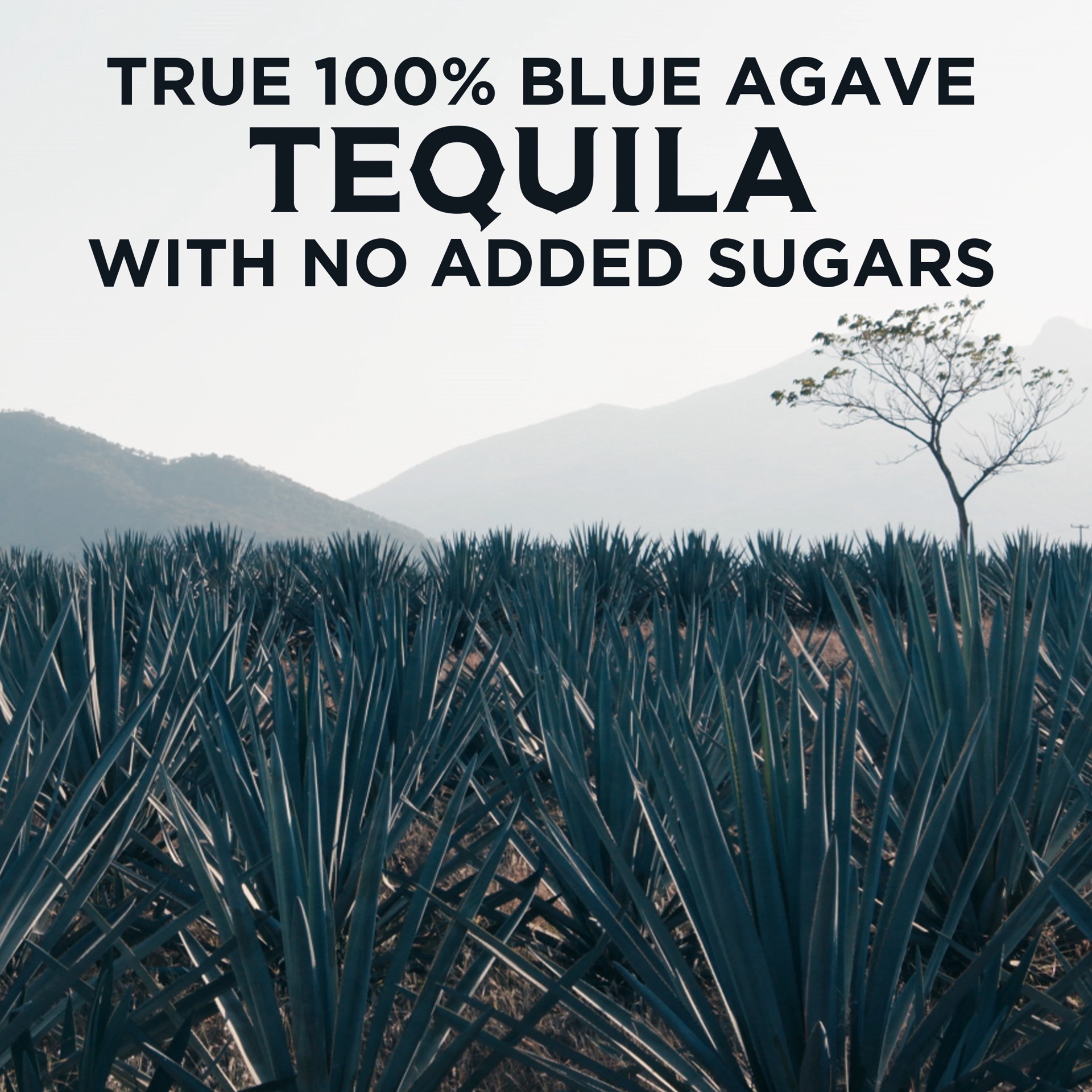 slide 3 of 3, Herradura Silver 375 mL 80 Proof, 375 ml