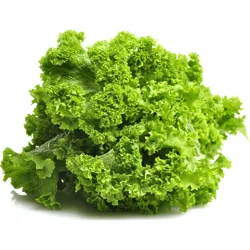 Texas Mustard Greens