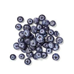 Expo Fresh Organic Blueberries